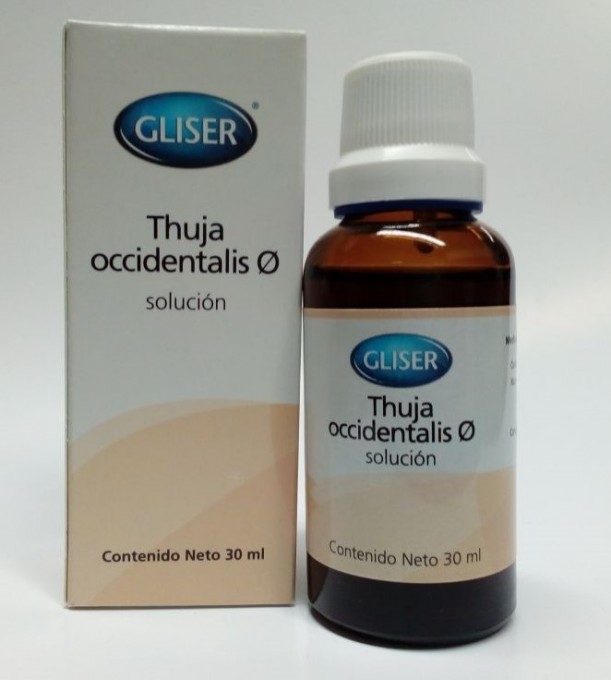 Gliser Thuja tintura 