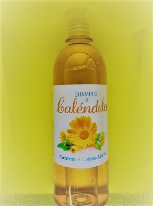 Shampoo de Calendula 